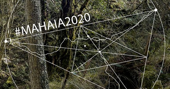 web mahaia
